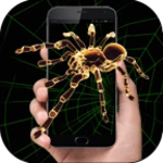 spider in phone android application logo